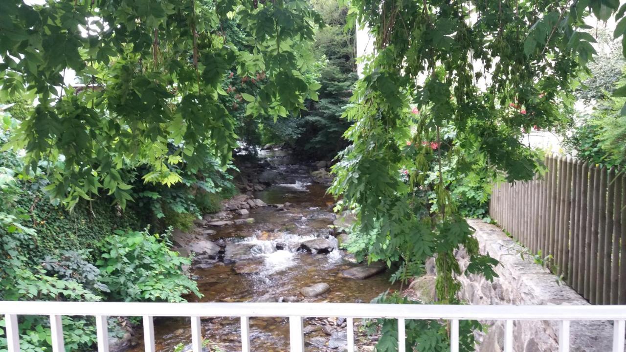 Appartement An Der Radau Bad Harzburg Exteriér fotografie